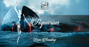 Aquarius Love & Relationships January 2020