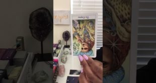 Aquarius | They STILL Miss & Need You  | Love Reading