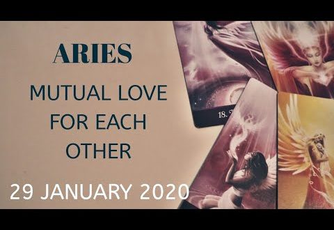 Aries daily love reading 💖 MUTUAL LOVE FOR EACH OTHER  💖 29 JANUARY  2020