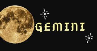 #Gemini Tarot - A Destined Partnership #geminilovetarot
