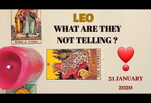 Leo daily love reading ✨ WHAT ARE THEY NOT TELLING ? ✨ 31 JANUARY 2020