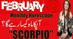 Monthly Horoscope, Monthly Horoscope February 2020 Scorpio Predictions ♏, Sadia Arshad