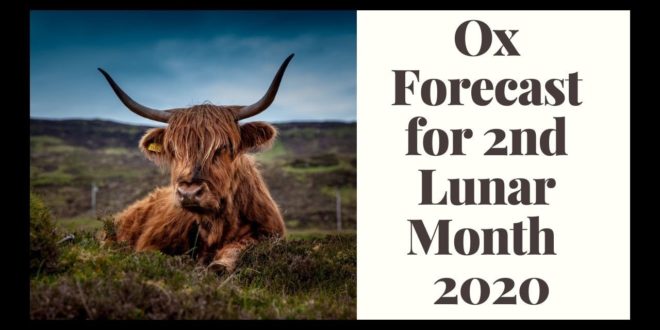 Ox Monthly Horoscope for Second Lunar Month 2020 Intuitive Astrology Tarot