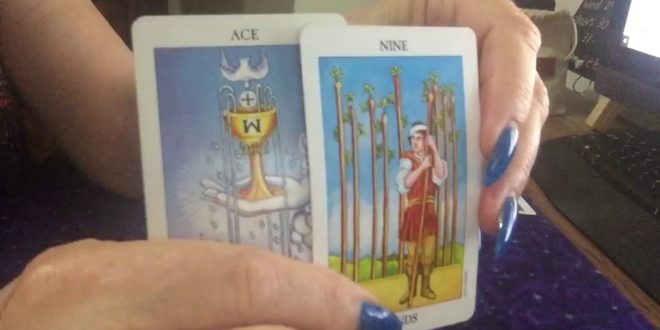 Pisces Monthly Reading For February - Time Out, Wishes Coming True