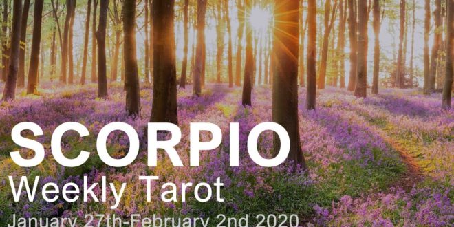 SCORPIO WEEKLY TAROT  "A RAINBOW OF BLESSINGS SCORPIO!" January 27th-February 2nd 2020