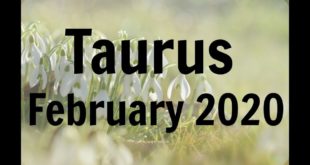 TAURUS FEBRUARY 2020 * BUSY TIMES FOR YOU TAURUS: PEOPLE WANT TO HELP YOU: FOCUS ON YOUR DREAMS