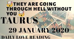 Taurus daily love reading ⭐ THEY ARE GOING THROUGH HELL WITHOUT YOU ⭐ 29 JANUARY 2020