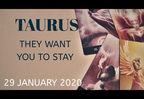 Taurus daily love reading 💖 THEY WANT YOU TO STAY  💖 29 JANUARY  2020
