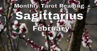 ♐ Sagittarius monthly tarot 📚| Soulmate separation | Feb