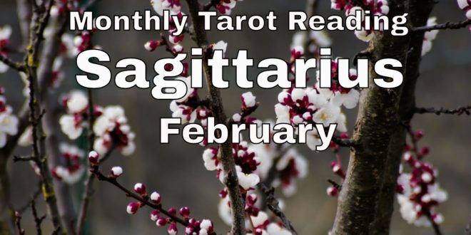 ♐ Sagittarius monthly tarot 📚| Soulmate separation | Feb