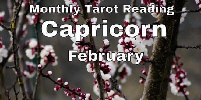 ♑ Capricorn monthly tarot 📚| Big Changes. | Feb