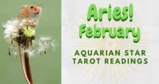 ARIES February monthly - "Allowing yourself to move forward opens you up to new beauty"