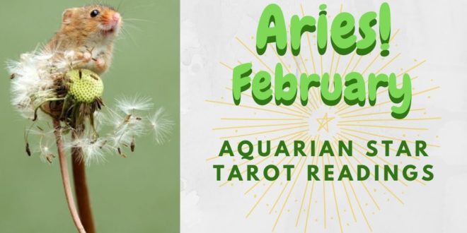 ARIES February monthly - "Allowing yourself to move forward opens you up to new beauty"