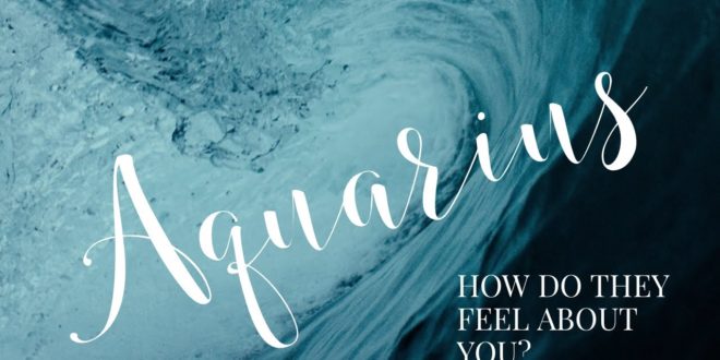 Aquarius 💕 How do they feel about you? ✨ Bonus Reading
