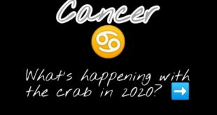 CANCER 2020 TAROT READING 
.
NEXT UP: LEO  stay tuned!
.
.
.
.
.
.
.
.
#tarotott...