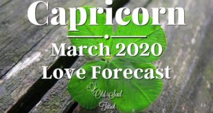 CAPRICORN ♑️ Love Forecast 🥰 Tarot Reading - March 2020: NO MATTER THE PATH YOU WILL FIND HAPPINESS