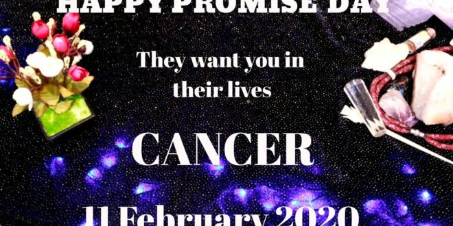 Cancer daily love reading 💗 THEY WANT YOU IN THEIR LIVES 💗 11 FEBRUARY 2020