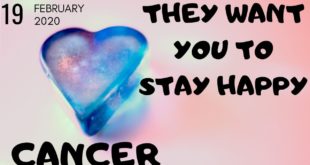 Cancer daily love tarot reading 💖 THEY  WANT YOU TO STAY HAPPY  💖 19 FEBRUARY 2020