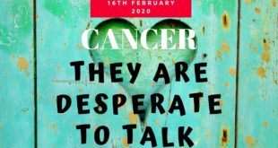 Cancer daily love tarot reading 💗 THEY ARE DESPERATE TO TALK TO YOU 💗 16 FEBRUARY 2020