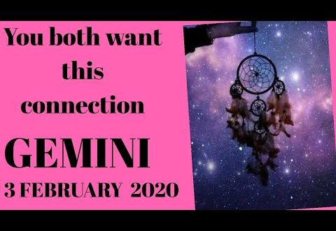 Gemini daily love reading 💫YOU BOTH WANT THIS CONNECTION 💫 3 FEBRUARY  2020