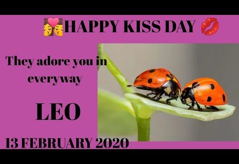 Leo daily love reading 💫THEY ADORE YOU IN EVERY WAY 💫 13 FEBRUARY 2020
