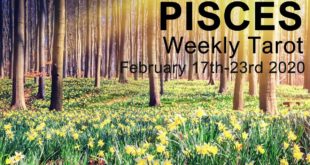 PISCES WEEKLY TAROT READING  "RISING TO THE OCCASION PISCES!"  February 17th-23rd 2020