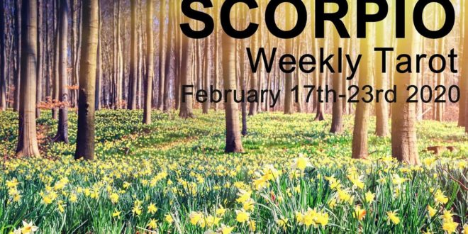 SCORPIO WEEKLY TAROT READING "YOUR KARMIC PATH BECOMES CLEAR SCORPIO"  February 17th-23rd 2020