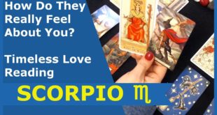 SCORPIO ♏️ * How Do They Really Feel About You? Timeless Love Reading