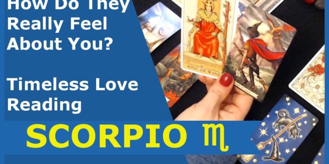 SCORPIO ♏️ * How Do They Really Feel About You? Timeless Love Reading