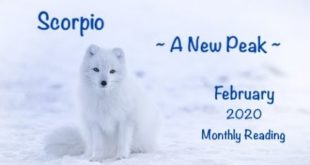 Scorpio - A New Peak - February 2020 Monthly Reading