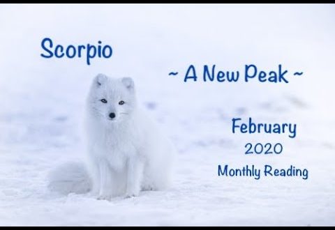 Scorpio - A New Peak - February 2020 Monthly Reading