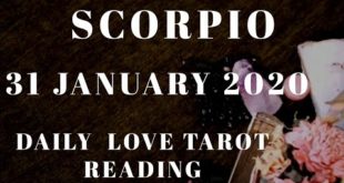 Scorpio daily love reading ⭐ TRUST THIS IT'S LOVE ⭐31 JANUARY 2020