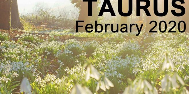 TAURUS FEBRUARY 2020 TAROT READING  "GOOD NEWS TAURUS! MATERIAL ADVANCEMENT"