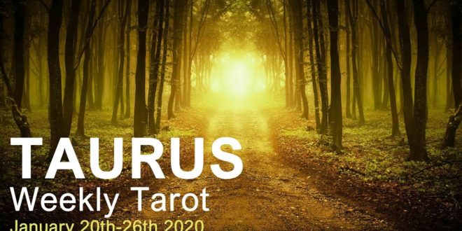TAURUS WEEKLY TAROT  "PHOENIX RISING AGAIN TAURUS!"  January 20th-26th 2020