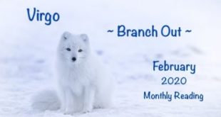 Virgo - Branch Out - February 2020 Monthly Reading