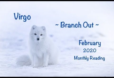 Virgo - Branch Out - February 2020 Monthly Reading