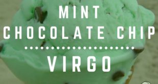 Virgo  as mint chocolate chip Ice cream 
-------------------------  Signs as ic...