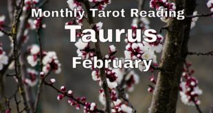 ♉ Taurus monthly tarot 📚 | A proposal? Marriage may be on the table | February