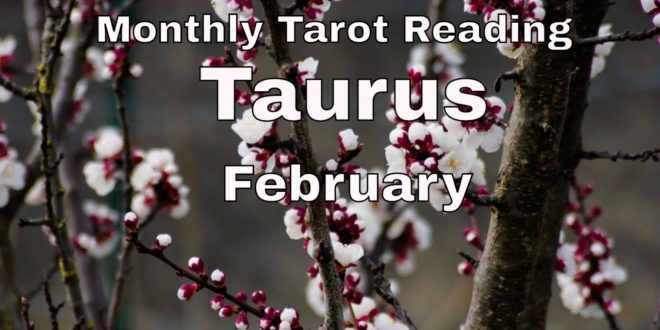 ♉ Taurus monthly tarot 📚 | A proposal? Marriage may be on the table | February