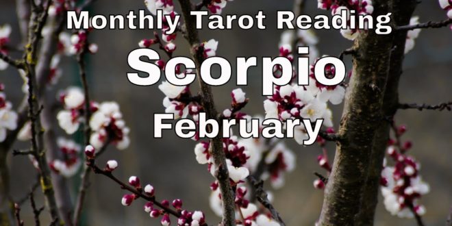 ♏ Scorpio monthly tarot 📚| Trusting the process | Feb