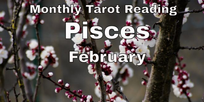 ♓ Pisces monthly tarot 📚 | All Fall Down | Feb