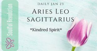 ARIES LEO SAGITTARIUS Kindred Spirit FIRE Sign January 23 Daily Tarot