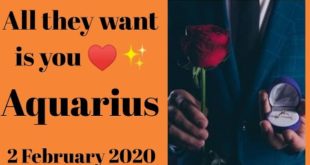 Aquarius daily love reading 💖 ALL THEY WANT IS YOU 💖 2 FEBRUARY 2020