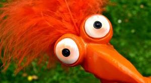weird orange bird