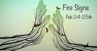 Fire: Sagittarius Aries Leo Daily Love February 24-25th “big changes ahead. The wheels in motion!”