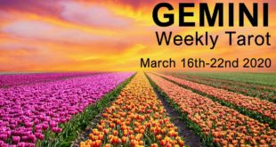 GEMINI WEEKLY TAROT READING  "THE BEST IS YET TO COME GEMINI" March 16th-22nd 2020 Forecast