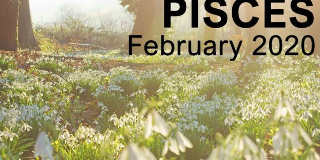 PISCES FEBRUARY 2020 TAROT READING  "WISHES COMING TRUE PISCES!"