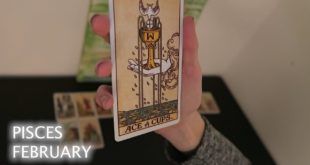 Pisces "RELATIONSHIP follows LOVE changes in divine timing" FEBRUARY 2020 TAROT READING