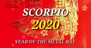 SCORPIO  HOROSCOPE 2020 /PREDICTION 🔆 MONEY💰💰💰LOVE♥️CAREER❗🏦