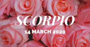 Scorpio daily love tarot reading 💓 UNIVERSE GIVING YOU SIGNS...( UNIVERSE SUPPORTING YOU)💓14 MARCH